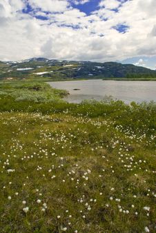 Mountain Meadow Stock Photos Mountain Meadow Stock Photos