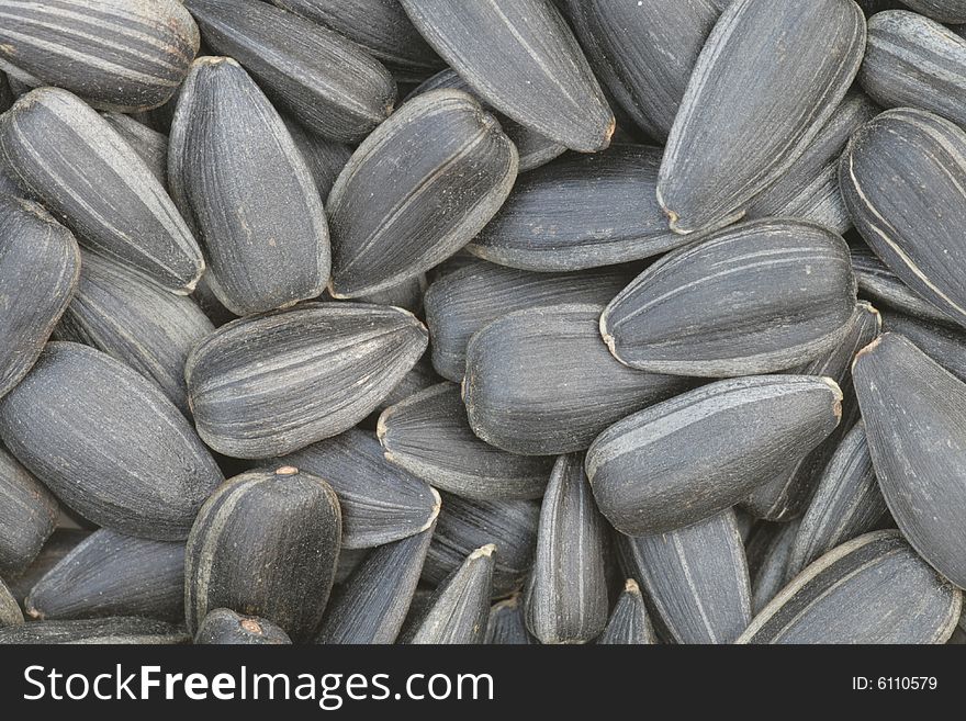 Closeup of a pile of sunflower seeds.