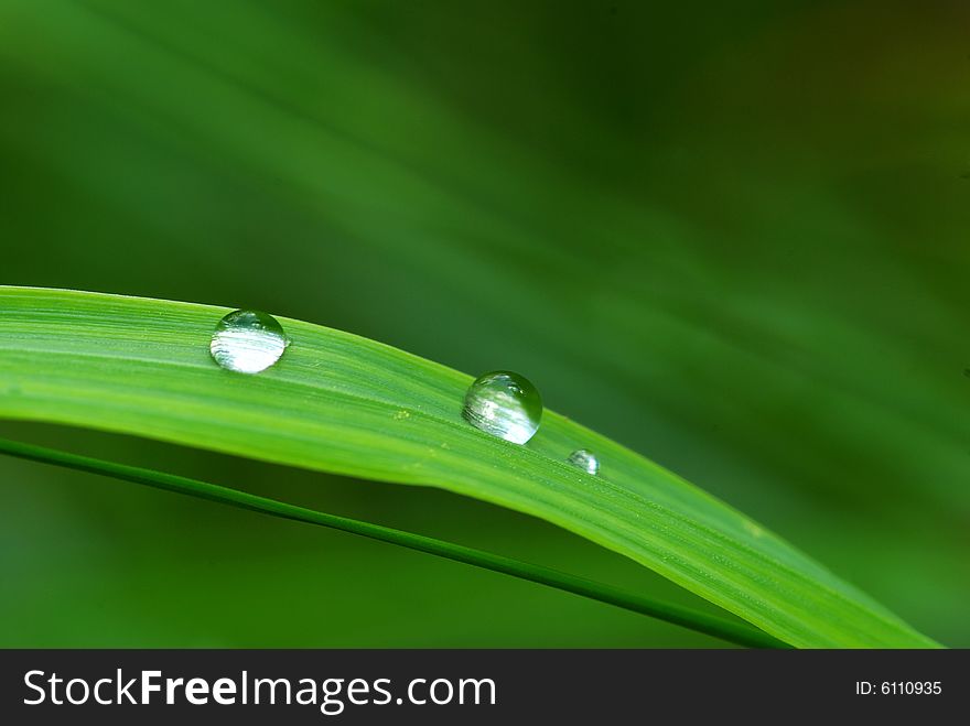 Dew drop on a blade of grass. Dew drop on a blade of grass