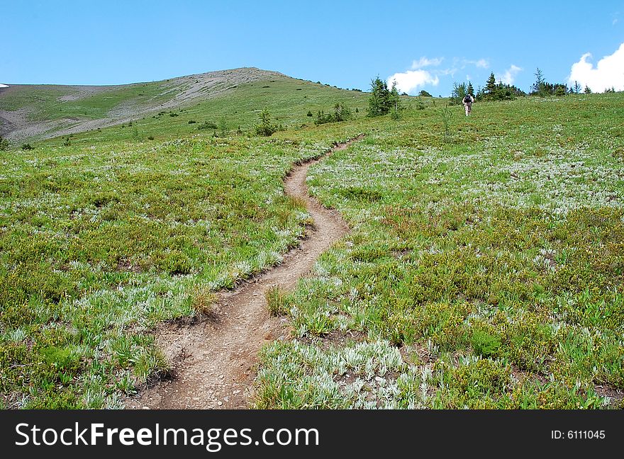 Hiking trail and meadow