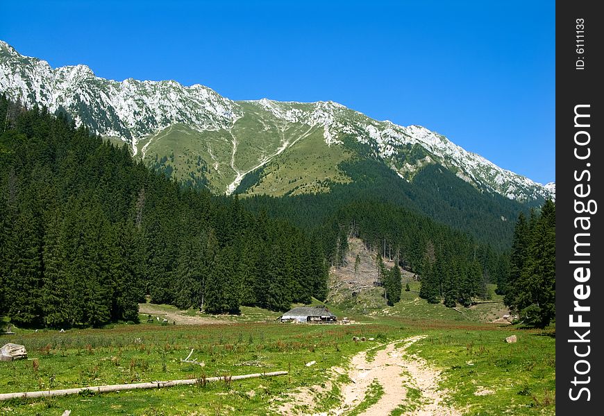 Meadow of Grind (1370 m altitude) in Piatra Craiului mountains. In background you have the Peak of La Om, the highest from this ridge (2239 m altitude). Meadow of Grind (1370 m altitude) in Piatra Craiului mountains. In background you have the Peak of La Om, the highest from this ridge (2239 m altitude)