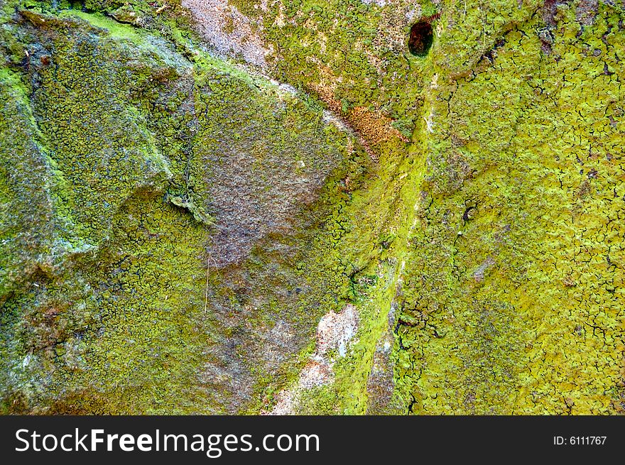 Colored (prevaling green) rough stone surface with lichen
