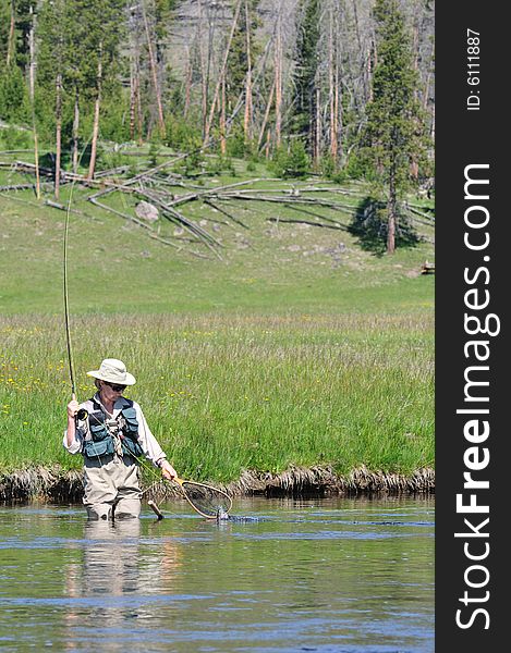 Active senior woman scooping fish into net