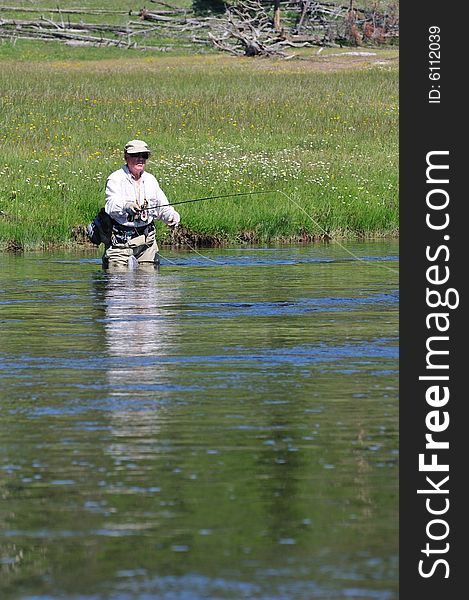 Senior Fisherman In Yellowstone