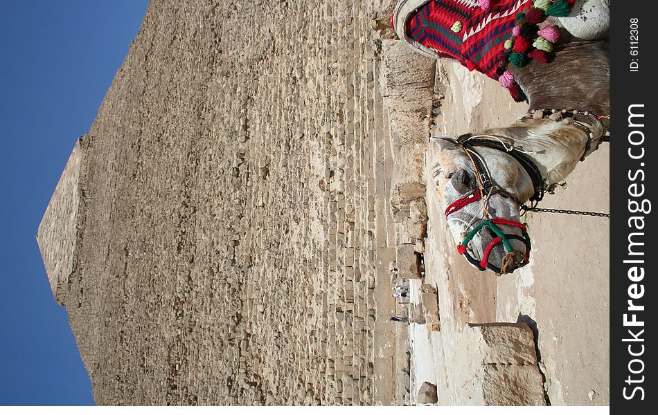 The pyramids in gaza