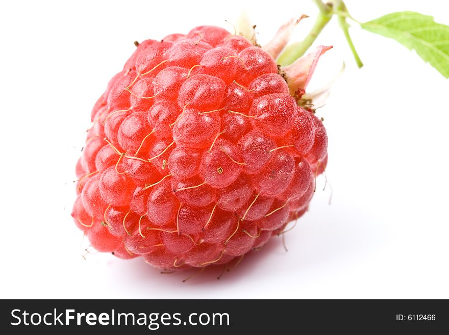 Fresh ripe raspberry on a white background. Fresh ripe raspberry on a white background