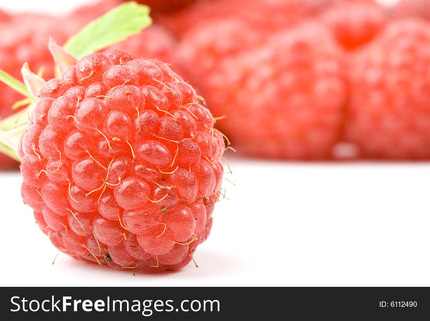 Fresh Raspberry
