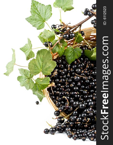 Fresh blackcurrant in a basket on a white background