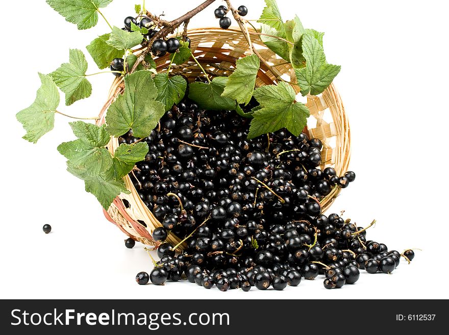 Fresh blackcurrant in a basket on a white background