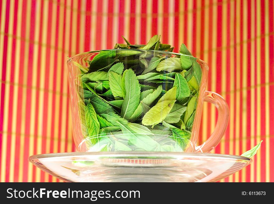 Green tea freshness. Cup full of leaves. Natural Drink. Striped background.