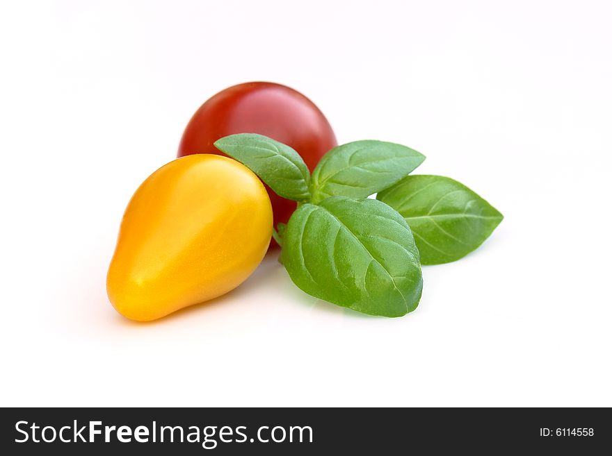 basil and tomatoes on the white background