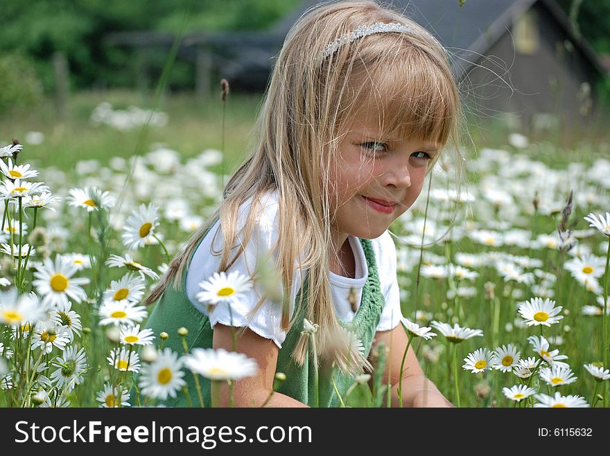 Little girl in a field of wild daisies. Little girl in a field of wild daisies.