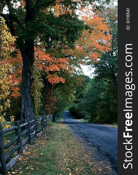 A quiet country road in autumn. A quiet country road in autumn