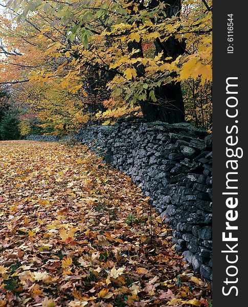 Autumn Stone Wall