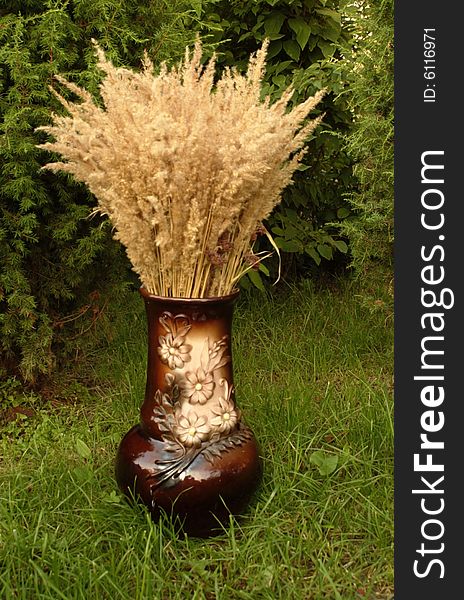 A bunch of dry grass in a vase