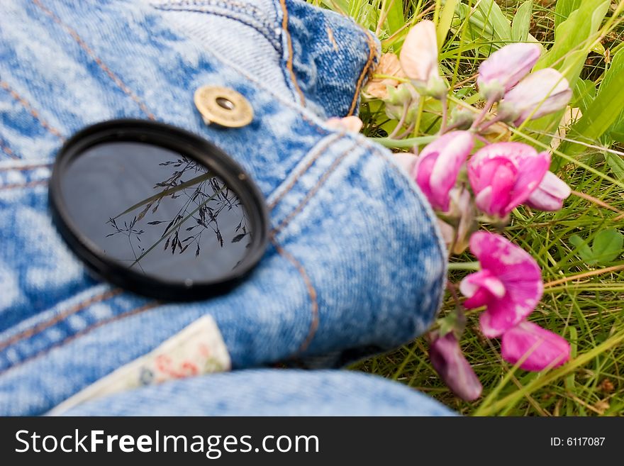 A polarizing photo filter with a reflection of a grass in it.