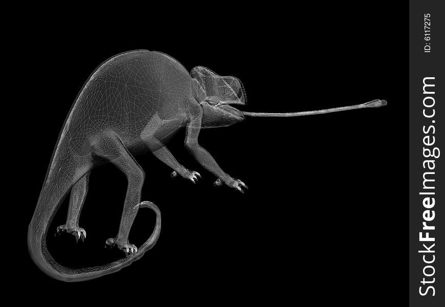 Black and white wire render with chameleon lizard. Black and white wire render with chameleon lizard