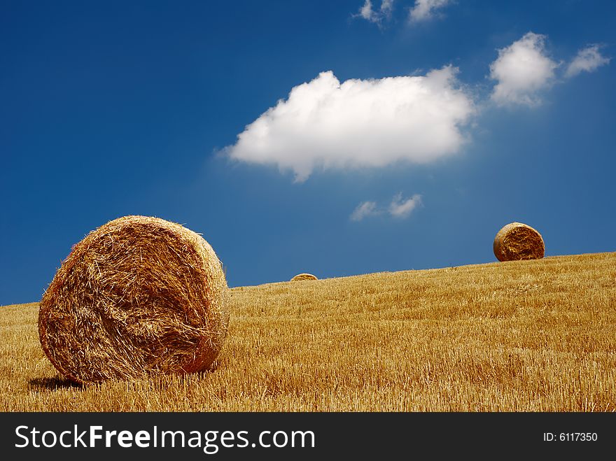 Straw bales in field with beautiful sky