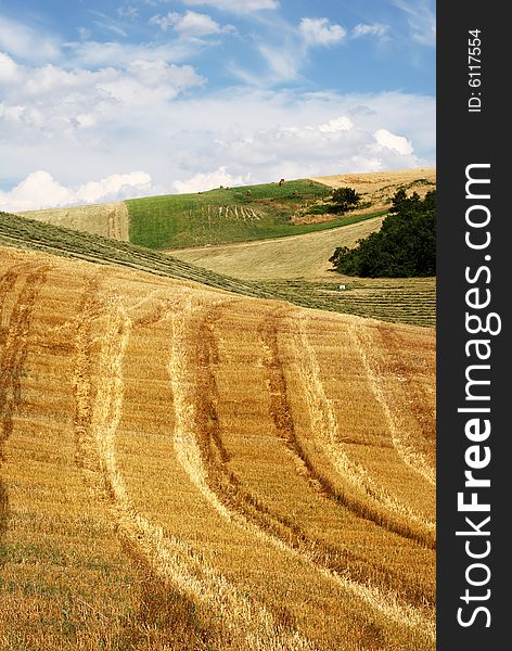 Lines in a field of straw after harvest