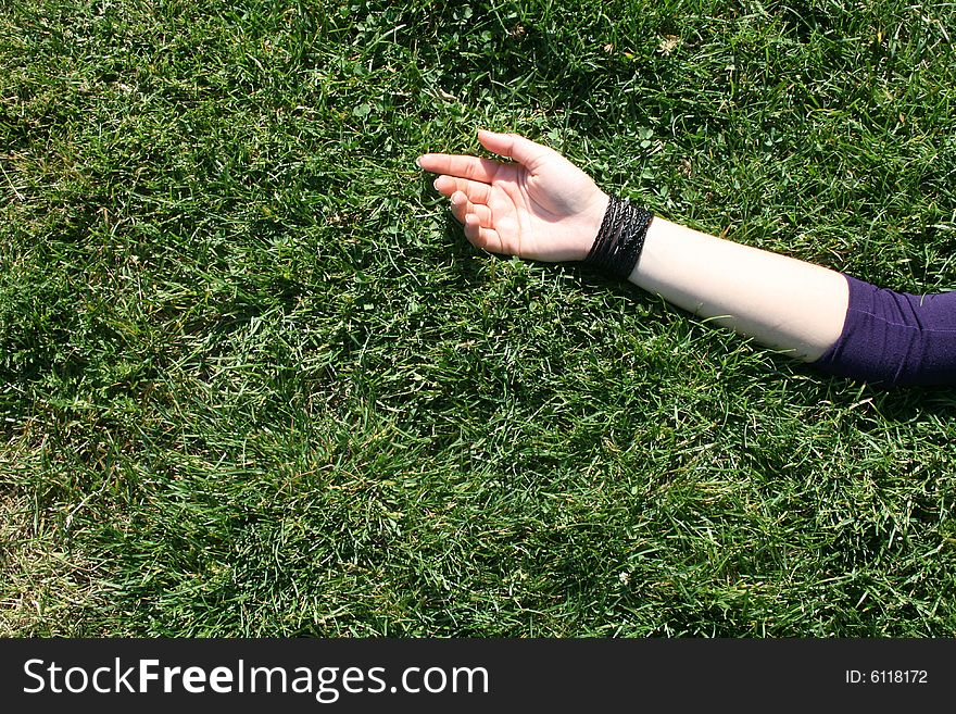 Woman hand on grass. Full frame. Woman hand on grass. Full frame.