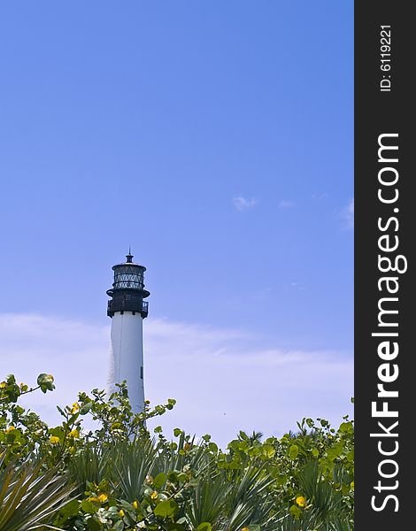 A lighthouse on the beach