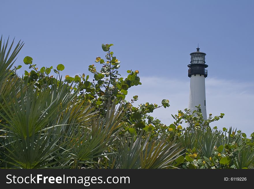 A lighthouse on the beach