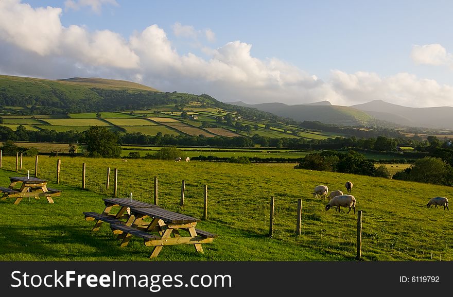 Beautiful sunlit landscape with sheep. Beautiful sunlit landscape with sheep