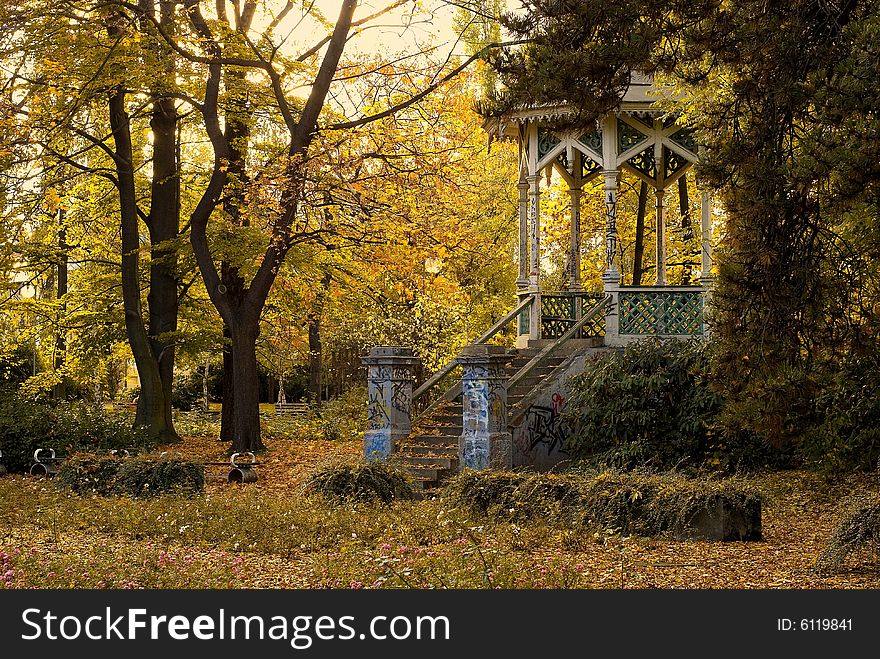 Color autumn in the park