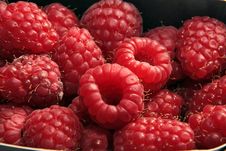 Raspberries Stock Photography Raspberries Stock Photography