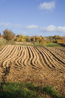 Fall Landscape - Utumn Field Royalty Free Stock Image Fall Landscape - Utumn Field Royalty Free Stock Image