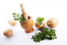 Mortar And Pestle With Herbs Stock Image Mortar And Pestle With Herbs Stock Image