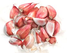 Garlic Cloves Stock Images