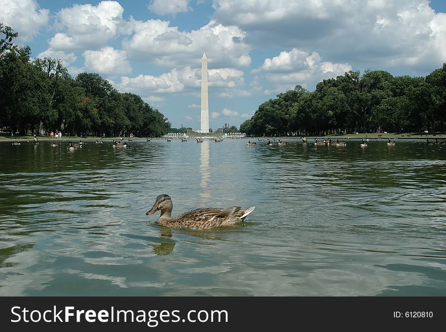 Washington Monument