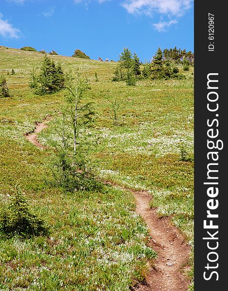 Hiking trail on mountain indefatigable, kananaskis country, alberta, canada. Hiking trail on mountain indefatigable, kananaskis country, alberta, canada