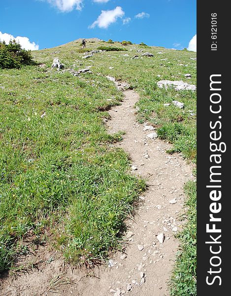 Hiking trail on mountain indefatigable, kananaskis, alberta, canada. Hiking trail on mountain indefatigable, kananaskis, alberta, canada