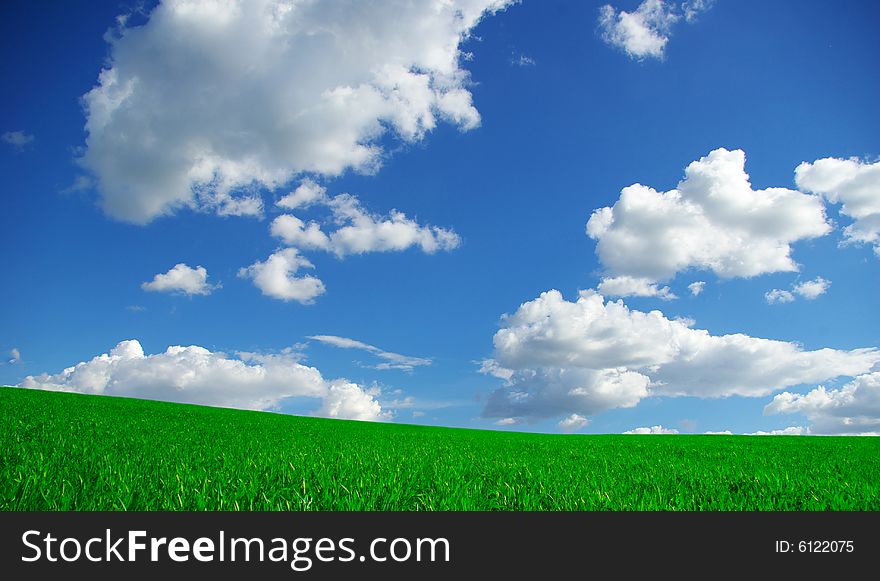 White clouds and a green field. White clouds and a green field