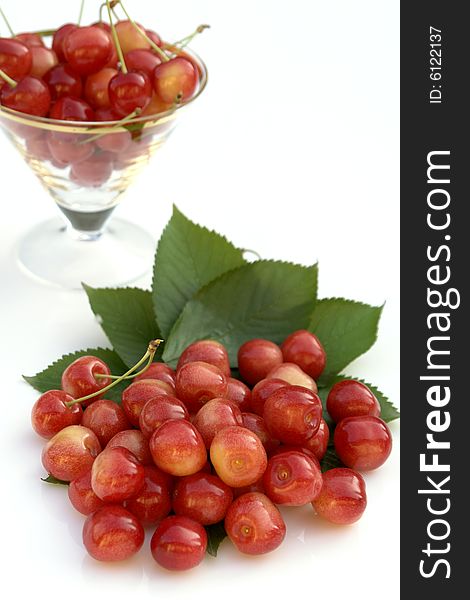Cerise cherries on the white background
