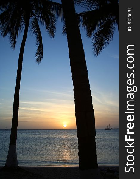 Palm silhouettes on Aruba Beach at sunset, Tropical Caribbean Island. Palm silhouettes on Aruba Beach at sunset, Tropical Caribbean Island