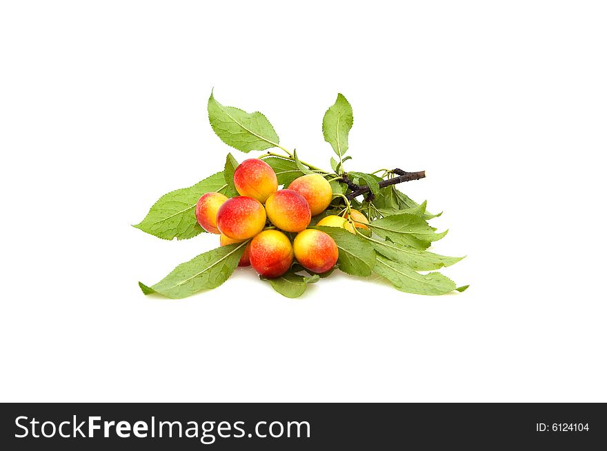 Bunch of plums isolated on white background. Bunch of plums isolated on white background.
