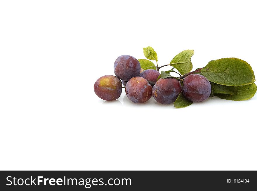Fresh plums isolated on white background. Fresh plums isolated on white background.