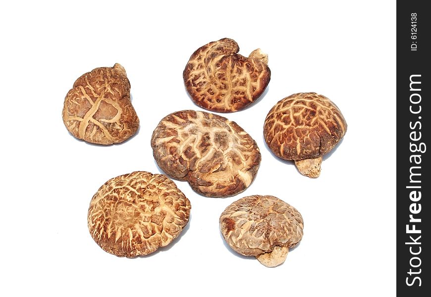 Dried mushroom with white background