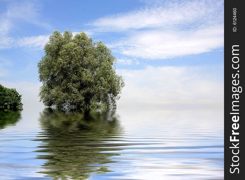 Tree in water and blue sky and clouds