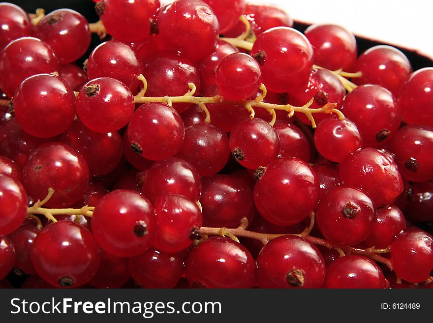 Ripe red currant on a plate on a white background