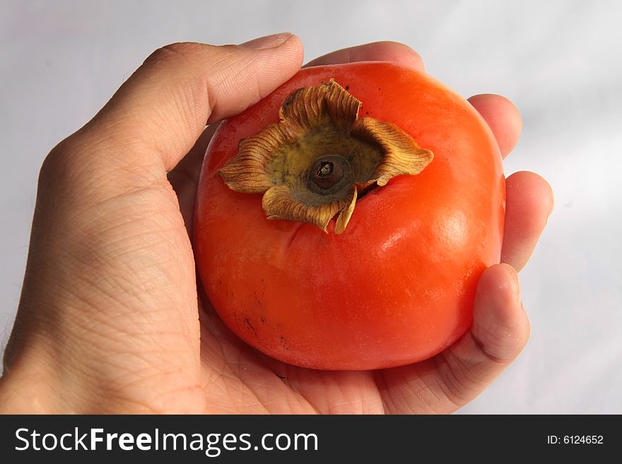 A ripe persimmon in a man's hand. A ripe persimmon in a man's hand