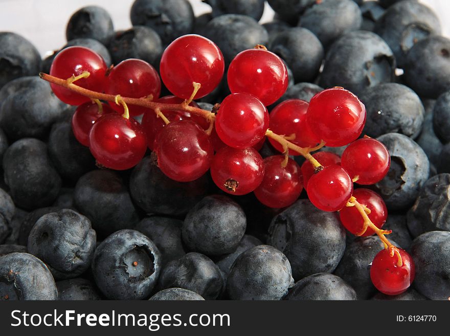 Black currant and red currant are close up. Black currant and red currant are close up