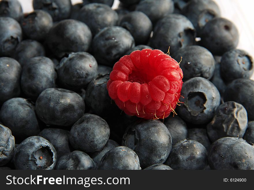 Single raspberry on black currant