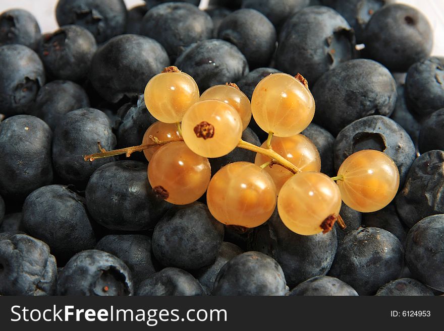 Black currant and golden currant are close up. Black currant and golden currant are close up