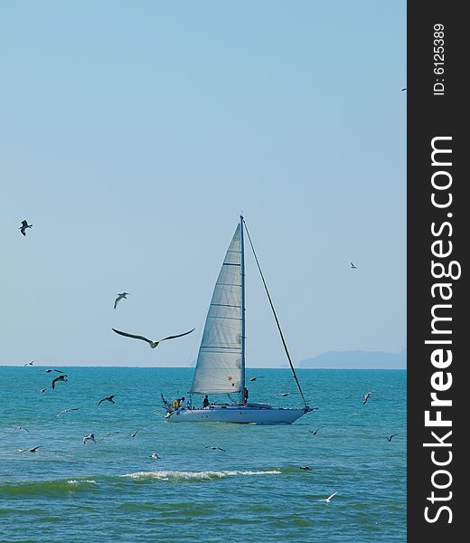 A suggestive shot of a sailing boat surrounded by seagulls. A suggestive shot of a sailing boat surrounded by seagulls