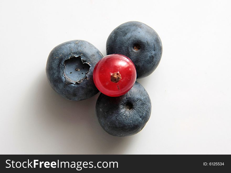 Black currant and red currant on a grey background. Black currant and red currant on a grey background