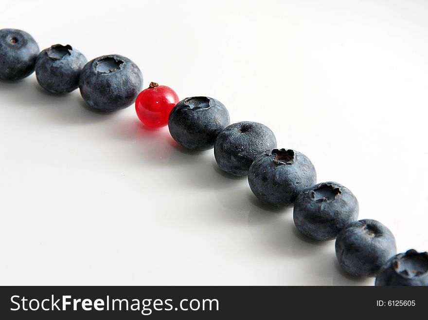 Black currant and red currant on a grey background. Black currant and red currant on a grey background